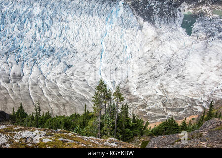 Il ghiacciaio di salmone, Hyder Alaska, British Columbia Foto Stock