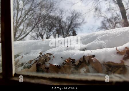 Vista da finestra di neve su boccole con alberi in background Foto Stock