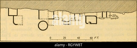 . Bollettino. Etnologia. 84 Bureau of American etnologia [bull. 82 lar ar.d prevalentemente iinworked blocchi di arenaria, legati insieme con spessi strati di fango sabbioso. Varie facce di parete interna era stata grossolanamente intonacati con questo stesso mortaio. Una delle camere più grandi qui possiede una parete curva unita a e custodire l'ingresso anteriore. Due scappatoie per perforare la parete curva, suggerendo così la sua funzione difensiva. Simile pro- tective dispositivi hanno notato anche tra cliff-dimore nel Canyon Bianco, in Grand Gulch e altrove a nord del fiume San Juan. Un kiva sotterranea è un ancora di più Foto Stock