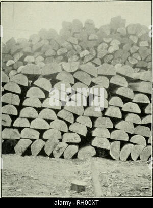 . Bollettino. 1901-13. Agricoltura; l'agricoltura. Bui. 14, l' Ufficio di presidenza di impiantistica industriale, U. S. Dept, di informazioni agrico. Si prega di notare che queste immagini vengono estratte dalla pagina sottoposta a scansione di immagini che possono essere state migliorate digitalmente per la leggibilità - Colorazione e aspetto di queste illustrazioni potrebbero non perfettamente assomigliano al lavoro originale. Stati Uniti. Ufficio di presidenza dell'impiantistica industriale, suoli, e ingegneria agricola. Washington Govt. Stampa. Spento Foto Stock