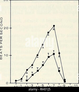 . Bollettino. Scienza e storia naturale; storia naturale. 140 sud della Accademia delle Scienze della California. 10"' 10'"^ lO"'^ 10"", 10" CONCENTRAZIONE DI K """(M) Fig. 1. Le curve di risposta alla dose per il potassio in piccole (&LT; min tempi di esposizione per ogni dose. () E GRANDI (I-I) vongole basato su 1, montato regolabile di un microscopio. Incorporate il meccanismo di ingranaggio o la piattaforma consentito precisa localizzazione di aree designate in un gill preparazione un campo è stato scelto per l'osservazione che conteneva 50 gill filamenti raggruppate fo facilità di osservazione in Foto Stock