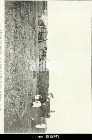 . Bollettino. 1901-13. Agricoltura; l'agricoltura. Bui. 23, l' Ufficio di presidenza di impianti industriali. U. S. Dept ol. Si prega di notare che queste immagini vengono estratte dalla pagina sottoposta a scansione di immagini che possono essere state migliorate digitalmente per la leggibilità - Colorazione e aspetto di queste illustrazioni potrebbero non perfettamente assomigliano al lavoro originale. Stati Uniti. Ufficio di presidenza dell'impiantistica industriale, suoli, e ingegneria agricola. Washington Govt. Stampa. Spento Foto Stock