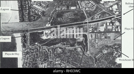 . Bollettino. La scienza. Â enals 1H ISSN 0038-3872 369 .105 io.3 14116-70 Southern California Academy of Sciences BULLETIN Volume 105 numero 3 Ballona Laguna Del Rey Lagoon Marina del Rey Mar Vista Ballona Creek canale Playa Vista. Westchester Bluffs Ballona palude d'acqua dolce BCAS-A105(3) 91-144 (2006) DICEMBRE 2006. Si prega di notare che queste immagini vengono estratte dalla pagina sottoposta a scansione di immagini che possono essere state migliorate digitalmente per la leggibilità - Colorazione e aspetto di queste illustrazioni potrebbero non perfettamente assomigliano al lavoro originale. Sud della Accademia delle Scienze della California. Los Angeles, in California : T Foto Stock