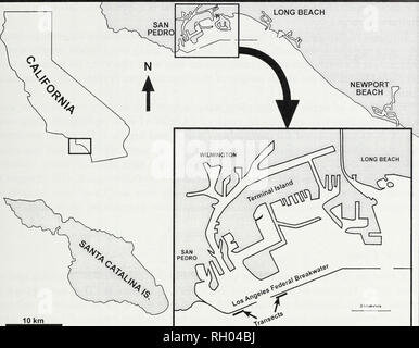 . Bollettino. La scienza. Assemblaggio di PESCE DEL LOS ANGELES FRANGIONDE 65 10 km lunga spiaggia. Fig. I. Ubicazione dei siti di studio presso il Los Angeles frangiflutti federale. Il campionamento criptico e cospicua dei pesci sono state campionate su base trimestrale a partire dal mese di settembre 2002 a novembre 2003 in due siti lungo la scogliera esterna (figura 1). I pesci non sono stati campionati in primavera a causa della scarsa visibilità e severa azione di onda presso il sito di studio. Cospicua dei pesci sono state censite utilizzando Visual seca su SCUBA all'selezionati in modo casuale 6 m e 12 m isobaths. Tutti seca sono state condotte da- tween 1000 e 1400 ore. Su ciascun sampli Foto Stock