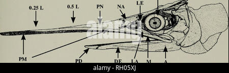 . Bollettino. La scienza. ISSN 0038-3872 I Southern California Academy of Sciences BULLETIN Volume 100 numero 2 H ?. DE LA M UN BCAS-A100(2) 59-128 (2001) ho ^CAPEMV OFSCIENCI ! I PTOM - ;L/ - agosto 2001. Si prega di notare che queste immagini vengono estratte dalla pagina sottoposta a scansione di immagini che possono essere state migliorate digitalmente per la leggibilità - Colorazione e aspetto di queste illustrazioni potrebbero non perfettamente assomigliano al lavoro originale. Sud della Accademia delle Scienze della California. Los Angeles, in California : L'Accademia Foto Stock