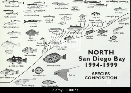 . Bollettino. La scienza. 3) ISSN 0038-3872 Southern California Academy of Sciences BULLETIN Volume 101 numero 2 "^.""""Vv^^e-^J. A nord di San Diego Bay 1994-1999 LA COMPOSIZIONE DELLE SPECIE BCAS-A101(2) 49-102 (2002) L'ACCADEMIA DELLE SCIENZE DELLA CALIFORNIA 14 AGO 2002 BIBLIOTECA AGOSTO 2002. Si prega di notare che queste immagini vengono estratte dalla pagina sottoposta a scansione di immagini che possono essere state migliorate digitalmente per la leggibilità - Colorazione e aspetto di queste illustrazioni potrebbero non perfettamente assomigliano al lavoro originale. Sud della Accademia delle Scienze della California. Los Angeles, in California : L'Accademia Foto Stock