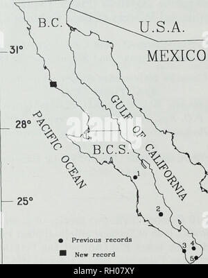 . Bollettino. La scienza. 132 sud della ACCADEMIA DELLE SCIENZE DELLA CALIFORNIA U.S.A. Messico. - 22° 117° • i record precedenti i nuovi record II4C 110' Fig. 1. Precedenti e nuovi record di Axvaous tajasica (pesci: Gobiidae) nella penisola della Baja California, Messico. (1) Arroyo La Purfsima al paese di La Purfsima, (2) Arroyo Las Pocitas a Pozas del Vado, (3) inferiore Arroyo Grande ca. Todos Santos, (4) Boca de la Sierra a Santiago, e (5) Basso Rio San Jose del Cabo a San Jose del Cabo. de la Sierra a Santiago" [flusso di] (De Buen 1942); Rio San Jose del Cabo [parte inferiore] (Follett 1960; Castro-Aguirre, 1 Foto Stock