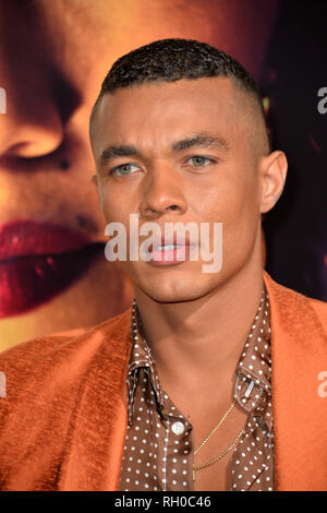 Los Angeles, Stati Uniti d'America. Il 30 gennaio, 2019. Ismael Cruz Cordova alla prima mondiale di "Miss Bala' al Regal la Live. Immagine: Paul Smith/Featureflash Credito: Paul Smith/Alamy Live News Foto Stock