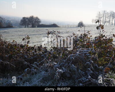 E gelido freddo mattino in Oxfordshire Foto Stock