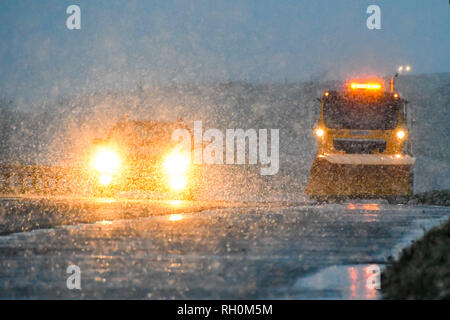 A35, lungo Bredy, Dorset, Regno Unito. Il 31 gennaio 2019. Regno Unito Meteo. Un gritting camion con uno spartineve dotato trattare la strada con sale come la neve cade al tramonto. L'Ambra allarme meteo è stato rilasciato per il sud ovest dell'Inghilterra con 5-10 cm di neve previsto a cadere. Credito Foto: Graham Fotografia Suoneria/Alamy Live News Foto Stock