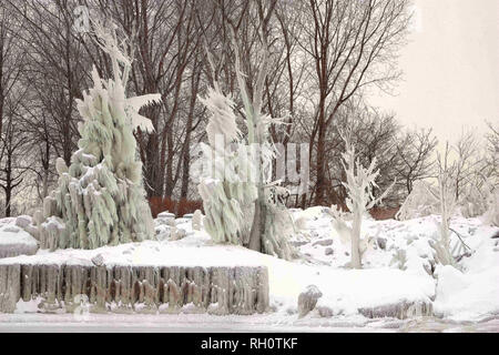 Chicago, Stati Uniti d'America. 31 gennaio, 2019. Gli alberi nei pressi del Lago Michigan sono coperti di neve e ghiaccio a Chicago, negli Stati Uniti, gennaio 31, 2019. Chicago è la più grande città negli Stati Uniti La Midwest, era stato colpito dal vortice polare con la temperatura minima di raggiungere meno 30 gradi Celsius in città. Credito: Wang Ping/Xinhua/Alamy Live News Foto Stock