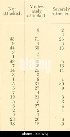 . Bollettino. Agricoltura -- New Hampshire. Luglio, 1914. Il verme di Apple. Tabella 1â(concluso). 31 varietà. Numero di coltivatori reporting varietà come: Presidente Primate Red Astrachan Red Canada R. I. Greening Rolfe Roma Ro.xbury pos di vino Spitzenburg Stark St. Lawrence Tolman dolce venti oncia Wagener ricchi Westfield o Non Cercare ulteriormente preferito Williams Winesap Winthrop rinverdire la Campanula gialla giallo trasparente. Totale. 8 3 140 19 117 4 2 83 59 53 6 10 66 41 11 36 13 37 5 3 55 45 Tabella 2. Varietà in ordine di libertà di confronto da attacco. Sulla base di relazioni da 210 produttori in una stagione di Foto Stock