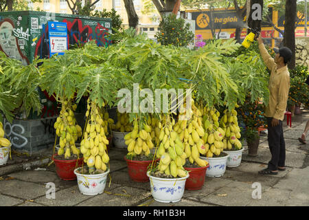 Mercato dei fiori in Ho Chi Minh, Vietnam Foto Stock