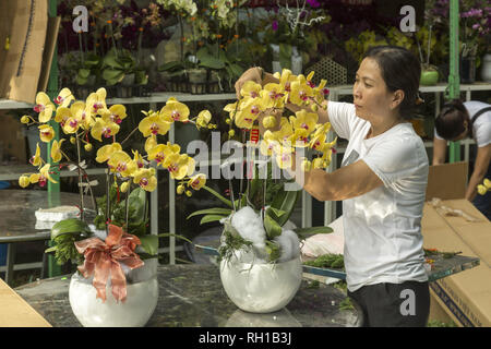 Mercato dei fiori in Ho Chi Minh, Vietnam Foto Stock