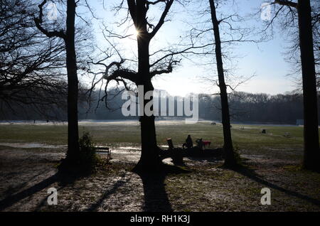 Highgate woods Londra nord in inverno in Inghilterra con il cane walkers REGNO UNITO Foto Stock