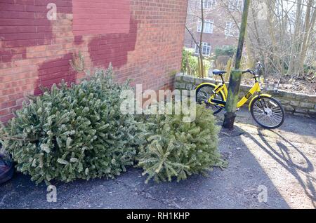 Un ofo noleggio bici e alberi di Natale oggetto di dumping in un North London borough Inghilterra Foto Stock