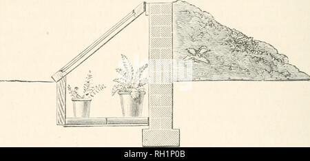 . Il British fern gazette. 54 ALPINES e felci in combinazione. Disegni xilografia rappresenta una disposizione di successo che abbiamo adottato, ormai molti anni fa in un grande giardino esposti fornendo scarso o nessun alloggio appropriato per le felci. Come si vedrà, è costituito da un basso muro di mattoni affondato nel terreno e la formazione di un ritorno ad un telaio ribassato di qualsiasi lunghezza desiderata, il cui fondo era pavimentata con grandi piastrelle rosse, mentre il lato inferiore è stato costruito con lastre di ardesia per tetti o, in alternativa, di piastrelle simili impostato su estremità. dimensioni possono essere al gusto o tasca,. il principio che sia afferrato. Th Foto Stock