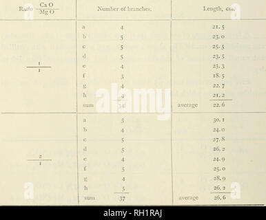 . Bollettino. Agricoltura. ii8 T. Katavaina. (3) CaO M-O 0,45^ Ca O = 1,318,^0^ Ca (x03)3 0,15 "MgO = 0.549,, MgCNOs)^ +a (4) CaO 0,48Oo^ Ca O = 1.406^^ Ca (NO3), 0,12 " Mg O = 0.439 '. ^Ig (^^Os)- +^ (5) CaO M^O 0,5 ^ Ca O = 1.465% Ca (NO3), 0,1 ,, Alg O = 0,366,, Mg (NO3)2 4-a all'inizio di questo esperimento, la concentrazione totale di nutrienti minerali per ogni pentola è stata 2,14-2,38 per mille. I vasi sono stati mantenuti in casa verde. 20 semi di cipolla sono state seminate, per vaso, su ]Iarch 6, e il numero di giovani germogli ridotta, il 7 aprile alle 8 di pari dimensioni. L'altezza delle giovani piante e Foto Stock