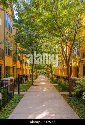 Percorso con case colorate su entrambi i lati Foto Stock