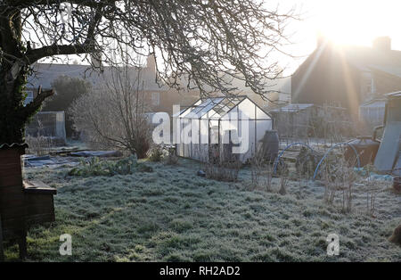 La mattina presto la brina sul riparto giardini, melton constable, North Norfolk, Inghilterra Foto Stock
