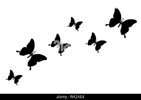 Set di nero silhouette butterfly isolato su uno sfondo bianco illustrazione vettoriale EPS10 Illustrazione Vettoriale
