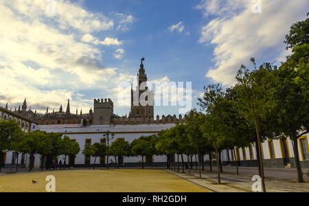 Vista della Giralda Torre Campanaria dalla Plaza del Patio de Banderas con alberi di arancio - Siviglia Andalusia , cielo blu con nuvole in background Foto Stock