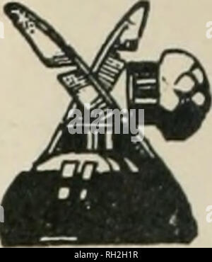 . British uccelli. Uccelli. note. PARROT CROSSBILL in Norfolk. Come ben identificato examjales del Parrot-Crossbill {Loxia pytyopsittacus) sembrano essere molto pochi di numero, penso che sia importante registrare i seguenti midoubted sjieciraen da Norfolk. Il sig. Pashley, di Clej^, detto mo. che un uccello ha creduto per essere il Parrot-Crossbill fu preso da un guardiacaccia di nome John Forsdick, al Langham, a poche miglia di navigazione, nel settembre 1907. Il campione è stato perso di vista imtil l'altro giorno, quando Pashley fomid unicamente la testa, l'uccello che è stato così battuto in su quando shot, che non valeva la pena di montaggio. Il w Foto Stock