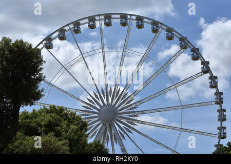 L'occhio, Torquay, Devon, English Riviera, REGNO UNITO Foto Stock