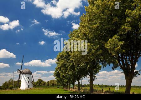 Il mulino a vento di Stammenmühle, Nettetal, Basso Reno, Nord Reno-Westfalia, Germania Foto Stock