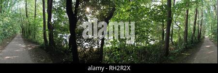 Alta risoluzione panorama di vista sulla foresta nel nord della Germania Foto Stock