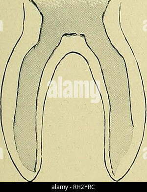 . Il Britannico Copepoda parassita. Copepoda; crostacei e pesci. . Si prega di notare che queste immagini vengono estratte dalla pagina sottoposta a scansione di immagini che possono essere state migliorate digitalmente per la leggibilità - Colorazione e aspetto di queste illustrazioni potrebbero non perfettamente assomigliano al lavoro originale. Scott, Thomas; Scott, Andrews. Londra, stampati per il raggio della società Foto Stock