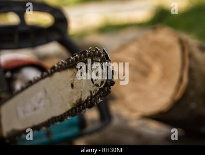 Lumberman utilizzando una motosega segatura di legno secco che giace a terra Foto Stock