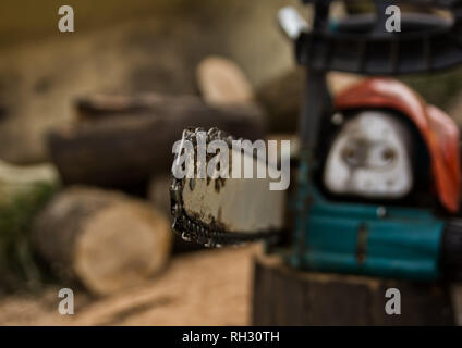 Lumberman utilizzando una motosega segatura di legno secco che giace a terra Foto Stock