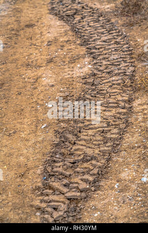 Tracce di pneumatici sul fango essiccato in Utah Valley Foto Stock