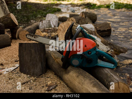 Lumberman utilizzando una motosega segatura di legno secco che giace a terra Foto Stock