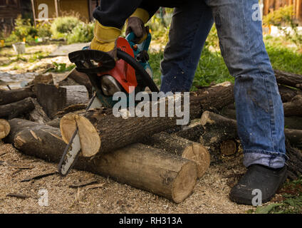 Lumberman utilizzando una motosega segatura di legno secco che giace a terra Foto Stock