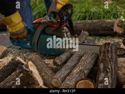 Lumberman utilizzando una motosega segatura di legno secco che giace a terra Foto Stock