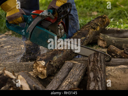 Lumberman utilizzando una motosega segatura di legno secco che giace a terra Foto Stock