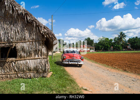 Fabbrica di sigari di Cuba. Capanno fatto di foglie di palma. La produzione manuale di sigari cubani. La coltivazione del tabacco in Vinales. Foto Stock