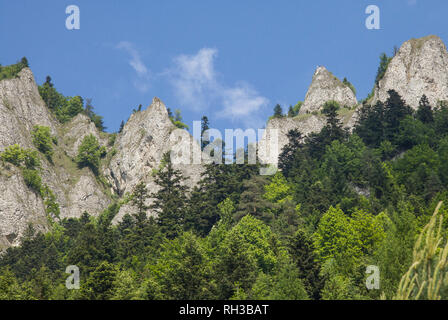 Montagne Tre Corone (Trzy Korony) è polacco Pieniny. Parco nazionale di Pieniny. Le montagne e i paesaggi al di sopra del Dunajec. Foto Stock