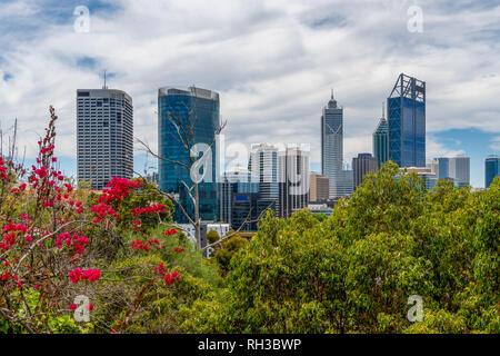 Skyline di Perth visto da Kingspark con vegetazione succosa come primo piano Foto Stock