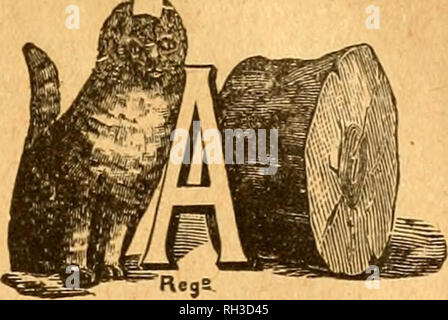 . British bee ufficiale &AMP; gli apicoltori consigliere. Le api. Marzo 25, 1920. Il british BEE ufficiale. Ill nuclei italiani, 3 fotogrammi affollata witn celle di covata opercolate, 1920 regina, la consegna anticipata, £3 3s., trasporto pagato; scatola 10s., restituibili. Cash witii ordine. Completa soddisfazione garantita o soldi restituiti.-E. H. TUNMER, " Chalfonts", a Leiston, Suffolk. r.c.81 NON comprare le api fino a quando non si hanno eeen i nostri prezzi e garanzia. Vi è il rischio di nulla, come possiamo tornare soldi in pieno se le api non riescono a dare com- iplete soddisfazione. Catalogo 3d., che verrà rimborsato sul primo ordine.-PEARSON &AMP; GALE, Marlborough. r.c.84 Foto Stock