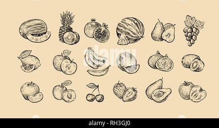 Set di frutti. Il cibo fresco, mangiare sano concetto sketch. Illustrazione Vettoriale Illustrazione Vettoriale