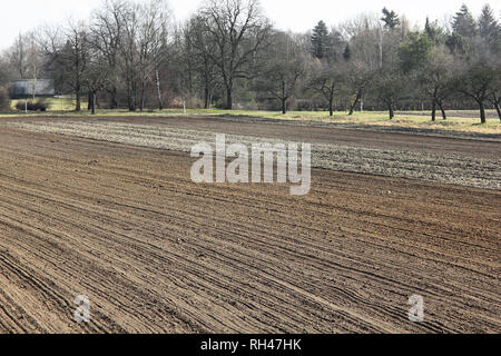 Solchi su una fresca campo arato in Marzo Foto Stock