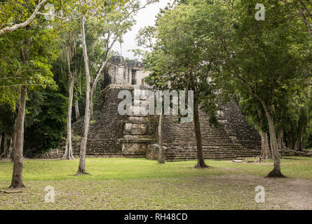 Tempio maya nella foresta pluviale della penisola dello Yucatan del Messico. Foto Stock