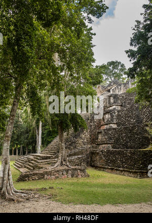 Vista laterale del tempio Maya di Dzibanche nella foresta pluviale del Messico. Foto Stock