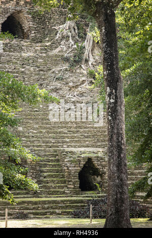 Vista in dettaglio della incolto tempio Maya di Dzibanche in Quintana Roo, Messico. Foto Stock