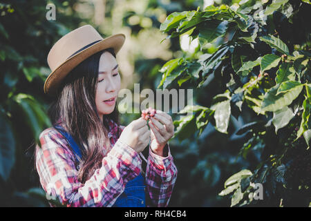 Gli agricoltori che coltivano le donne sono felice per la raccolta di chicchi di caffè che vengono essiccate in casa. Foto Stock