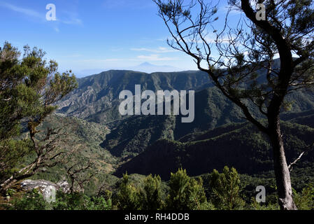 Il verde delle colline del parco nazionale di Garajonay e la sommità del monte Teide in background, La Gomera, isole Canarie, Spagna Foto Stock