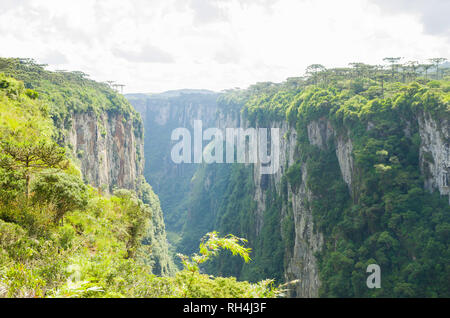 Splendido paesaggio del Canyon Itaimbezinho e verde foresta pluviale, Cambara do Sul Rio Grande do Sul - Brasile Foto Stock